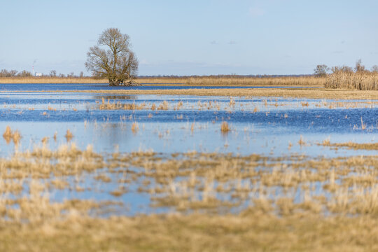 floodplain nationalpark unteres odertal scenic