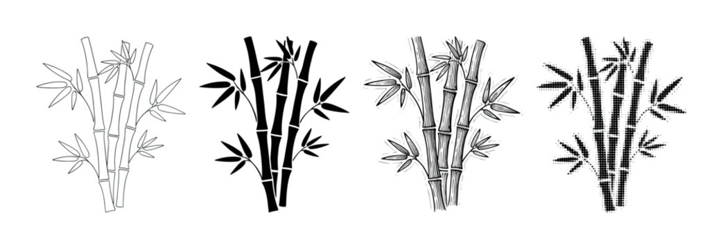 Four black bamboo stalk illustrations in different graphic styles including outline, silhouette, detailed engraving, and a modern halftone dot pattern for artistic design