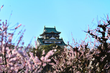 梅林から望む天守閣