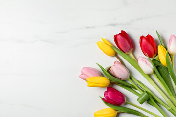 Naklejka na ściany i meble Beautiful colorful tulip flowers on white marble background, flat lay. Space for text
