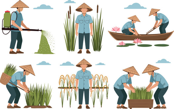 Farming Rice Animation