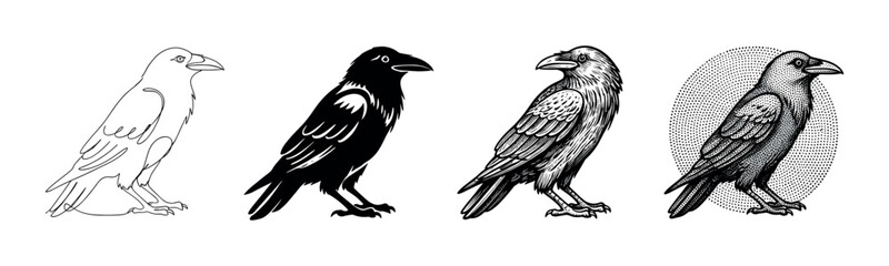 Fototapeta premium Four stylized black and white raven illustrations in diverse artistic styles, including line art, solid silhouette, detailed woodcut, and stipple, presented in a graphic side profile