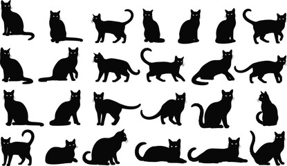 Set of black cat silhouettes in different poses isolated on white background, collection of domestic feline shapes for design © MstSahida