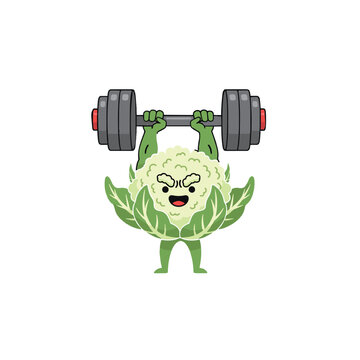 Strong cauliflower lifting barbell cartoon vector illustration mascot.