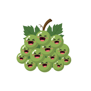 Cute green grapes cartoon vector illustration. Happy bunch of fruit characters.