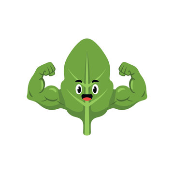 Strong spinach leaf cartoon vector illustration. Cute flexing muscle vegetable character.