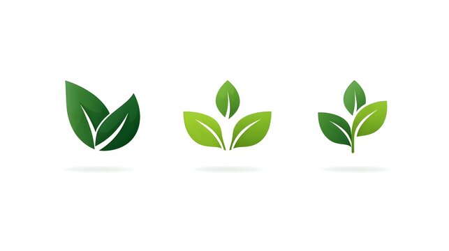 Set of three green leaf logos representing nature and eco-friendly concepts.