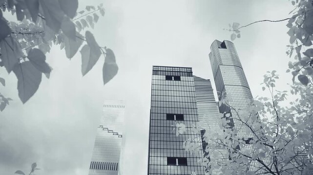 Lush vegetation and Hudson Yards skyscrapers infrared photography dramatic view NYC