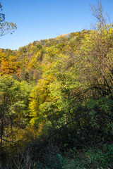 Obraz premium Autumn Landscape around Pancharevo lake, Bulgaria
