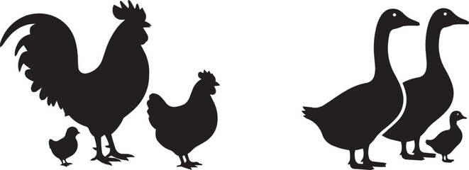 Poultry Family Silhouettes: Rooster, Hen, Chicks, Geese, Goslings © Moniruzzaman