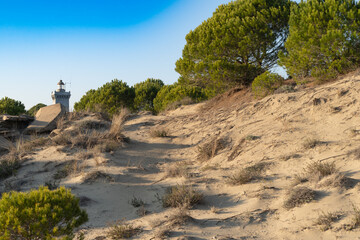 Le phare de l'Espiguette, Le Grau-du-Roi, Gard, France  © PhotoLoren