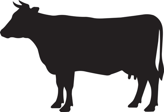Dairy Cow Silhouette Vector Isolated on White for Milk and Meat Branding