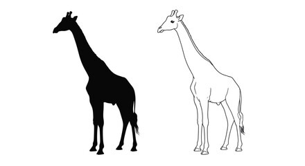 Fototapeta premium Giraffe Silhouette and Outline Vector Illustration Set for Wildlife, Safari, and Animal-Themed Designs, Isolated on White Background