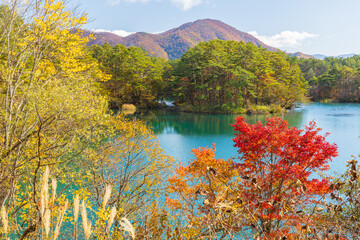 日本の風景・秋　福島県裏磐梯　紅葉の五色沼湖沼群　毘沙門沼　
