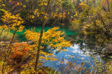 日本の風景・秋　福島県裏磐梯　紅葉の五色沼湖沼群　毘沙門沼　