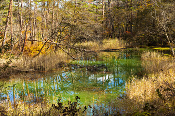 日本の風景・秋　福島県裏磐梯　紅葉の五色沼湖沼群　赤沼