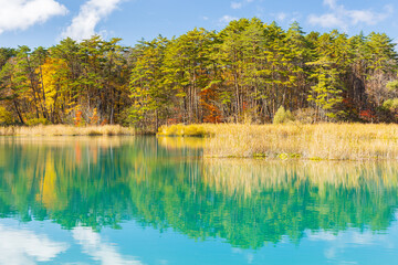 日本の風景・秋　福島県裏磐梯　紅葉の五色沼湖沼群　弁天沼　