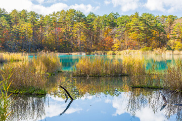 日本の風景・秋　福島県裏磐梯　紅葉の五色沼湖沼群　弁天沼　