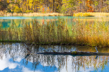 日本の風景・秋　福島県裏磐梯　紅葉の五色沼湖沼群　弁天沼　