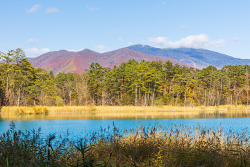 日本の風景・秋　福島県裏磐梯　紅葉の五色沼湖沼群　弁天沼　