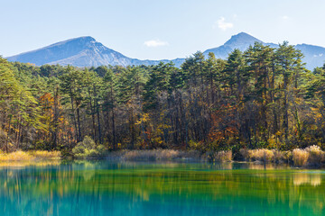 日本の風景・秋　福島県裏磐梯　紅葉の五色沼湖沼群　るり沼と磐梯山　　　