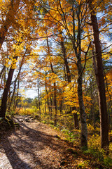 日本の風景・秋　福島県裏磐梯　紅葉の五色沼湖沼群　　
