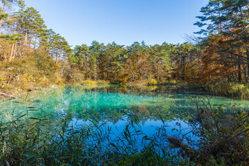 日本の風景・秋　福島県裏磐梯　紅葉の五色沼湖沼群　青沼
