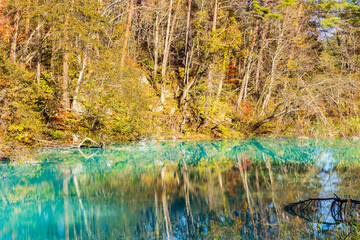 日本の風景・秋　福島県裏磐梯　紅葉の五色沼湖沼群　青沼
