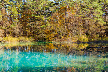 日本の風景・秋　福島県裏磐梯　紅葉の五色沼湖沼群　青沼