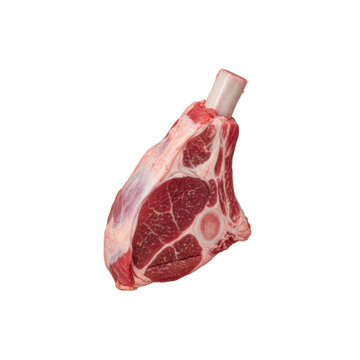 a single raw, bone-in lamb shank displaying ruby red muscle tissue and white fat marbling, hyperdetailed, isolated on a sterile white background. premium raw meat quality concept