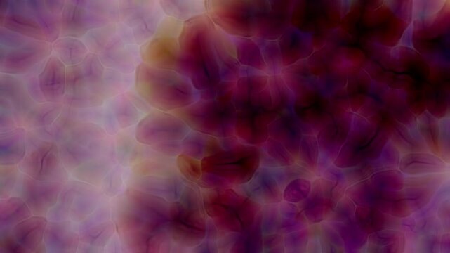 Dynamic abstract motion background featuring organic cellular shapes and flowing liquid light. Soft glowing colors blend smoothly, creating a modern, futuristic and dreamy atmosphere. Perfect for moti