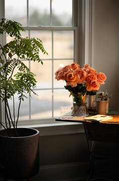 Flowers on the windowsill