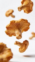 Fresh chanterelle mushrooms falling in studio against a clean white background