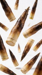 Fresh bamboo shoots falling and floating in the air against a white background