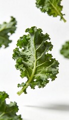 Fresh green kale leaves floating in the air against a clean white background