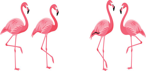 Obraz premium Pink Flamingo Vector Set with Multiple Standing and Feeding Poses Tropical Exotic Bird Illustration Collection