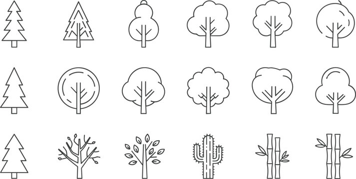Minimalist black and white line art vector icon set featuring various tree species, pine trees, forest foliage, cactus, bamboo, and seasonal nature symbols.