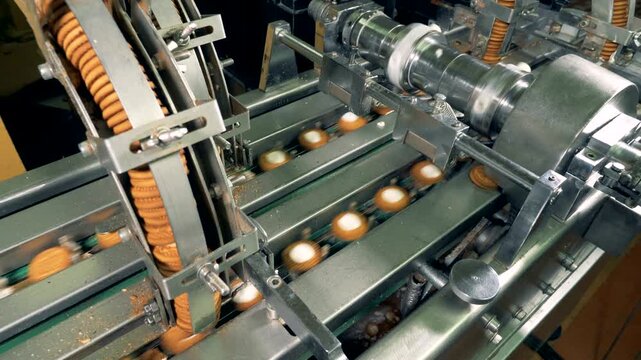Automated Cookie Production Line - Industrial Bakery Factory Equipment