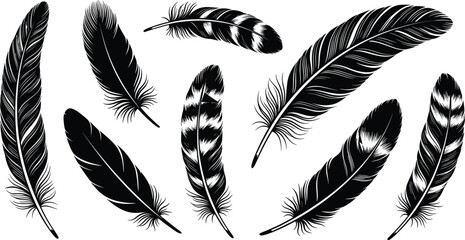 Feather illustration set, black and white design, natural decorative element, bird feather art, organic sketch template, textured ornamental graphic © Akash's World