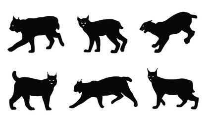 Silhouettes of lynx cats in various poses walking and standing on white background