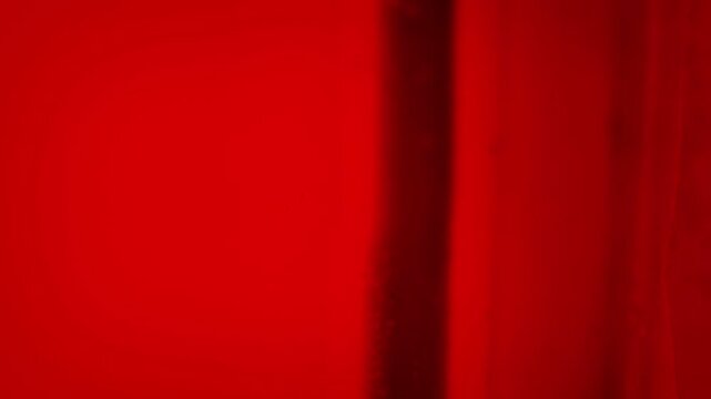 Flies On Window, Dirty House, Disease Concept