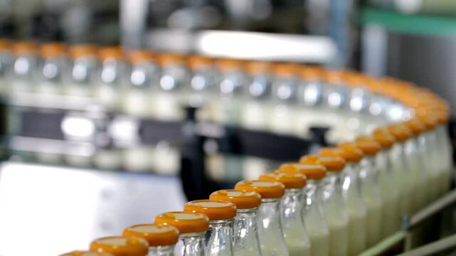 Dairy Milk Bottle Production Line with Automated Packaging System