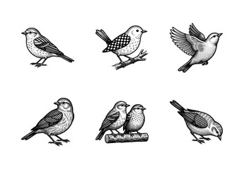 Fototapeta premium Vintage engraving style collection of small songbirds in various poses including flying and perching
