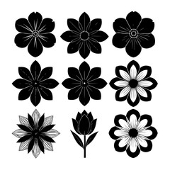 Obraz premium Collection of Black and White Flower Illustrations.