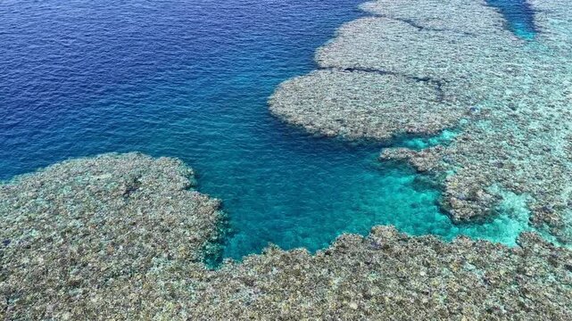 A shallow coral reef is found in the midst of the Bligh Channel in Fiji. Fiji's coral reefs support high marine biodiversity and are a popular destination for scuba divers and snorkelers.