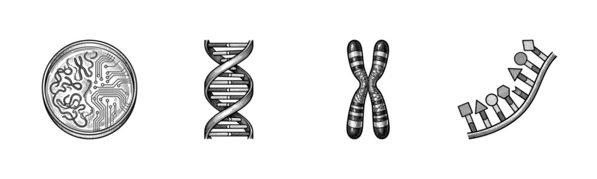 Vintage engraving style biotechnology and genetic engineering icons featuring a circuit cell, DNA double helix, chromosome, and nucleotide sequence.