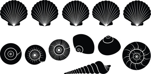 Vintage Seashell Silhouette Vector Illustration Set Featuring Scallop Snail and Spiral Shells for Marine Coastal Nature and Ocean Beach Decor © Shoriful