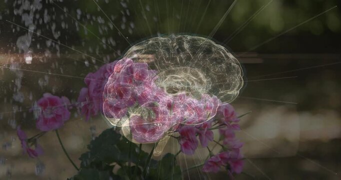 Water spray starting, sheer brain overlay brightening, neural patterns glowing, showing petal sync