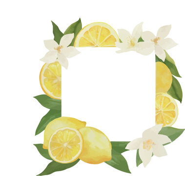 Watercolor Lemon Blossom Floral Frame Vector Illustration
