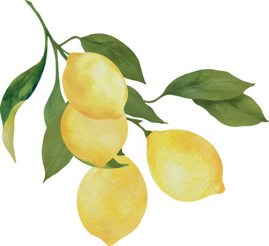 Watercolor Lemons